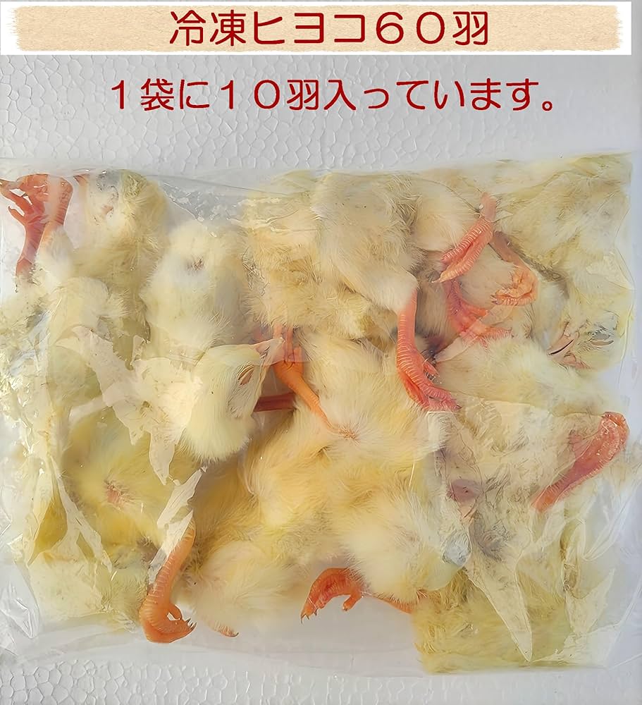 えいじ　送料無料　訳あり冷凍ヒヨコ250羽 Amazon | 【クール便発送】国産冷凍ひよこ(雛) 30羽入り 猛禽類